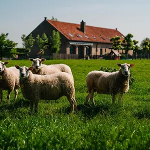 Hotel Hoevehotel Ter Haeghe Gistel